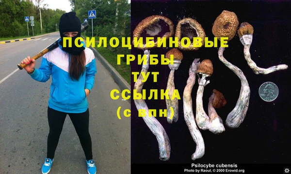 a pvp Балабаново