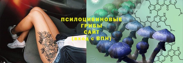 винт Балахна