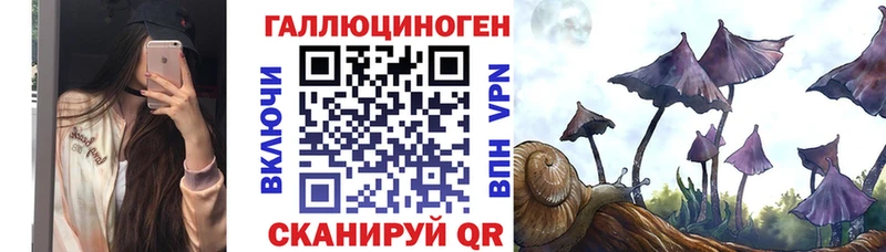 Галлюциногенные грибы прущие грибы  Купить закладки  Вичуга 